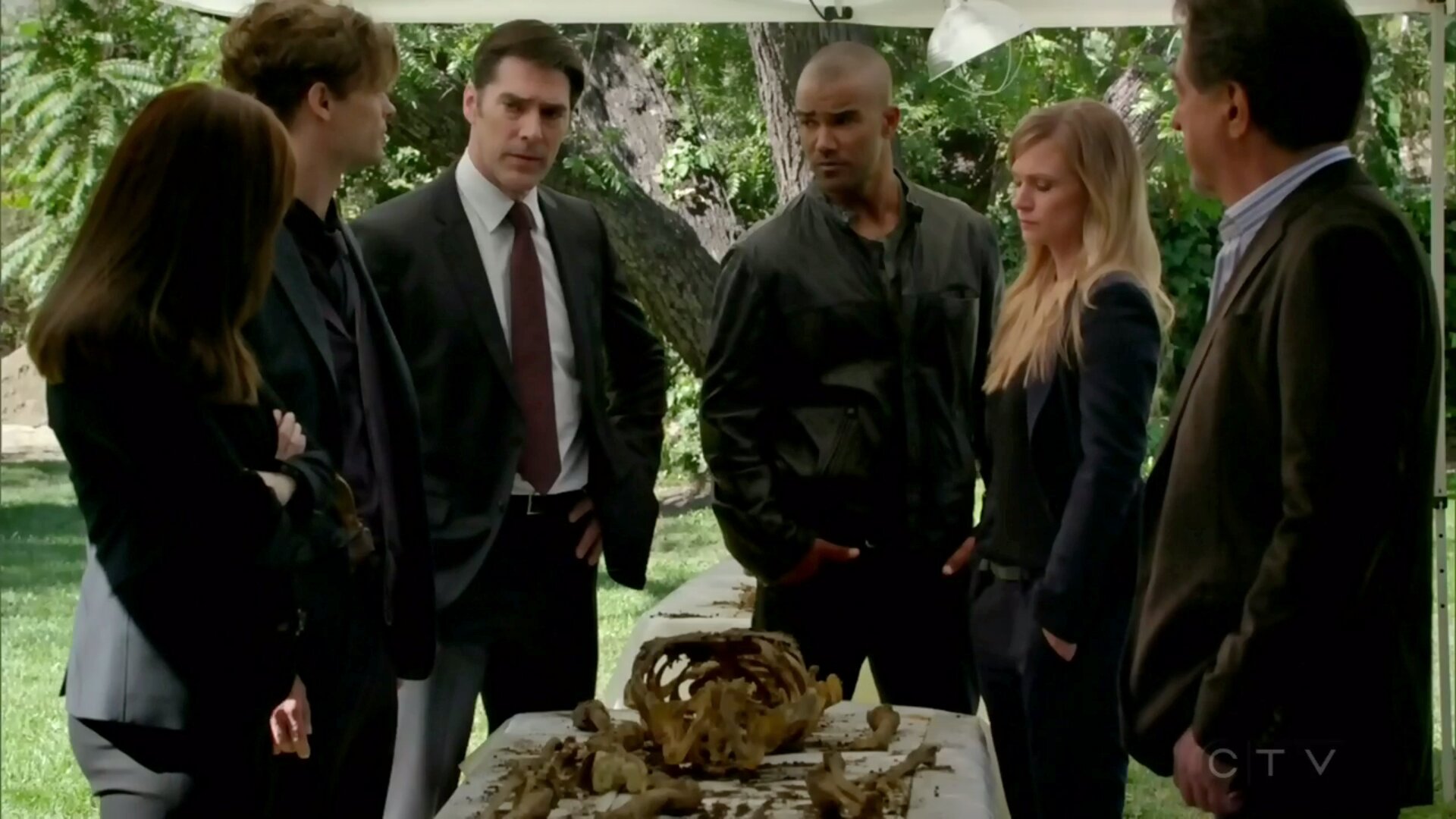Revoir Criminal minds du 11 Septembre