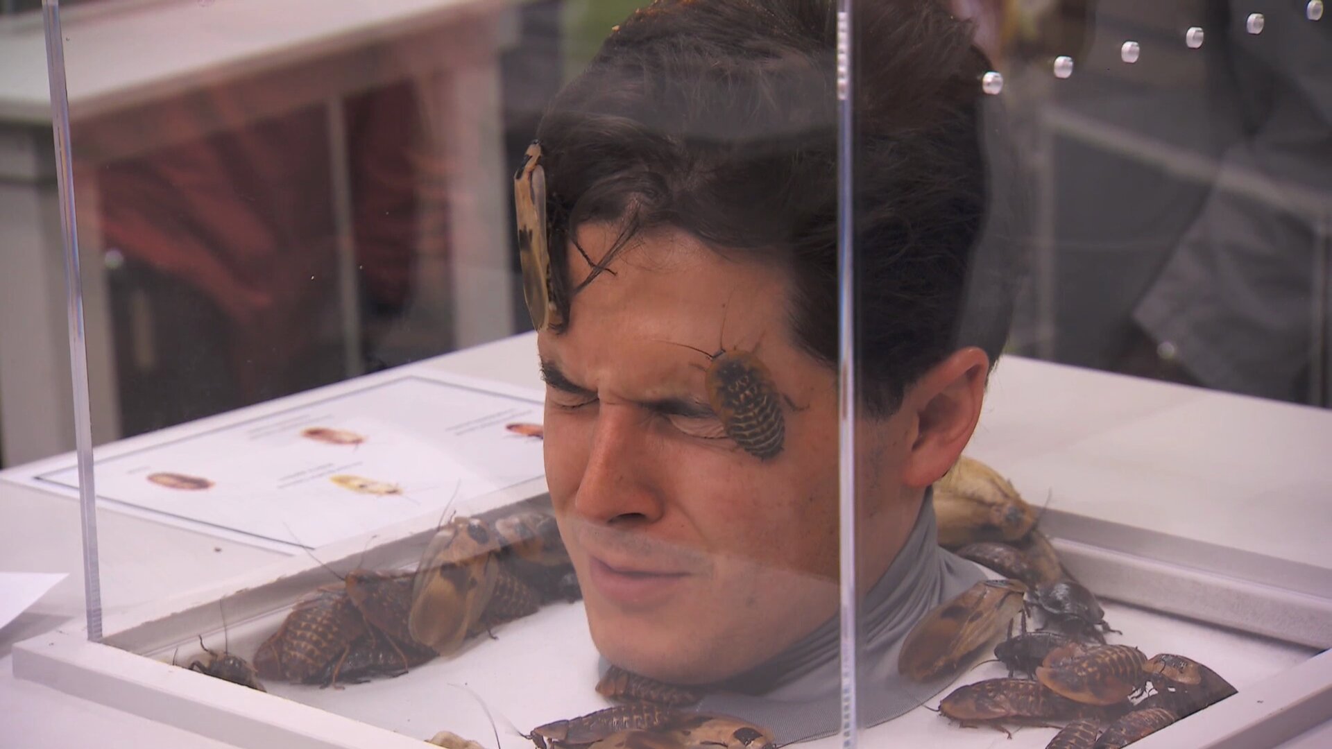 Revoir The amazing race canada du 06 Septembre