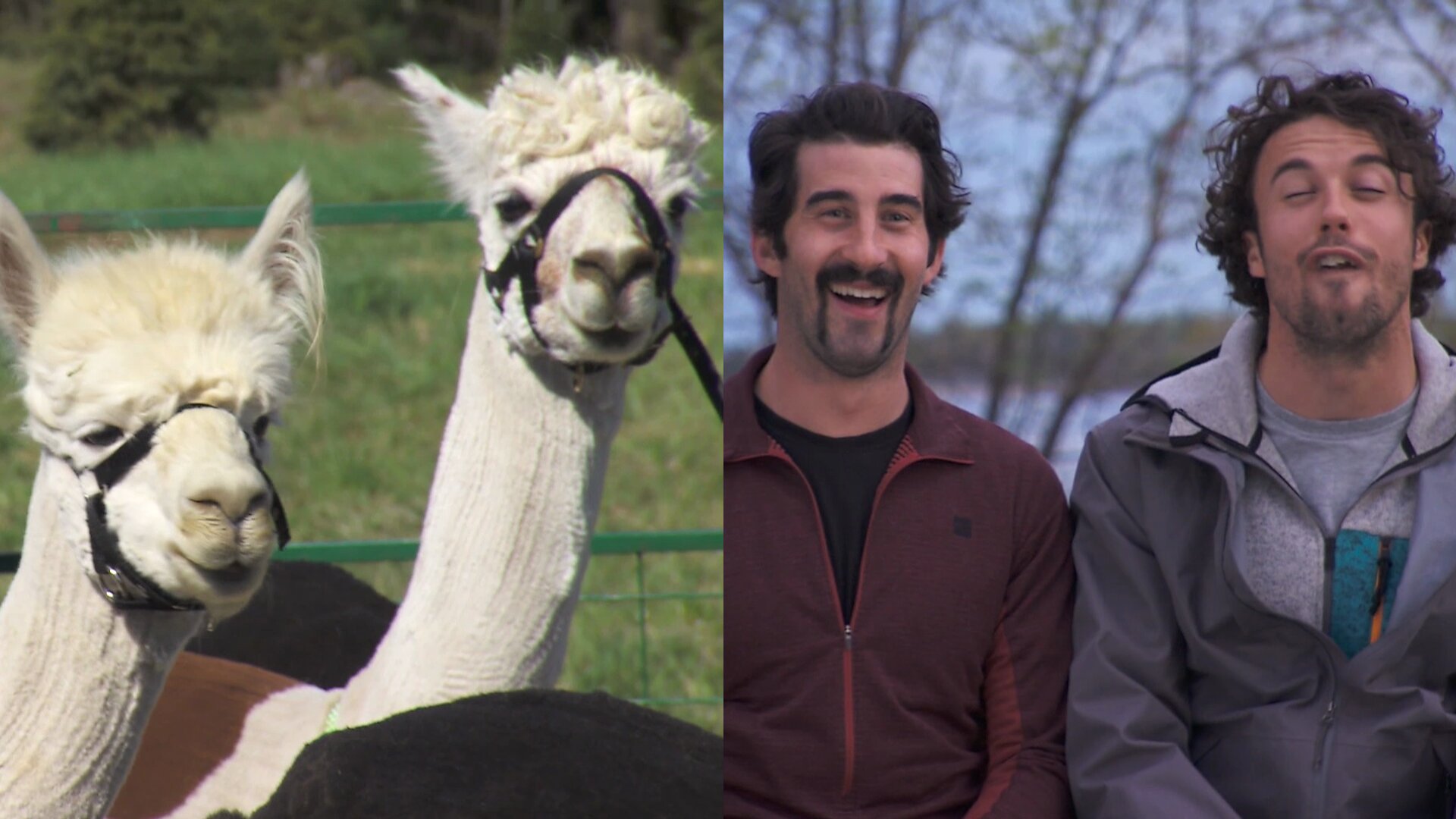 Revoir The amazing race canada du 06 Septembre