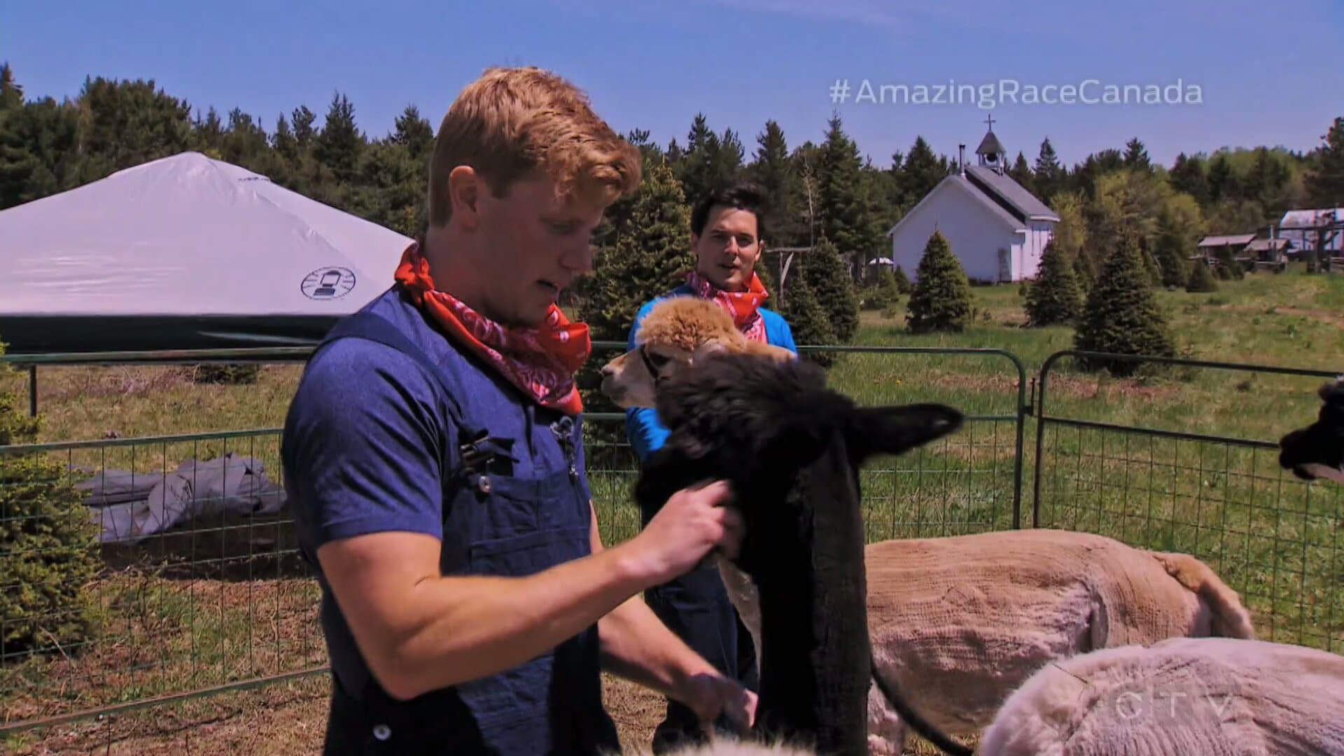 Revoir The amazing race canada du 06 Septembre