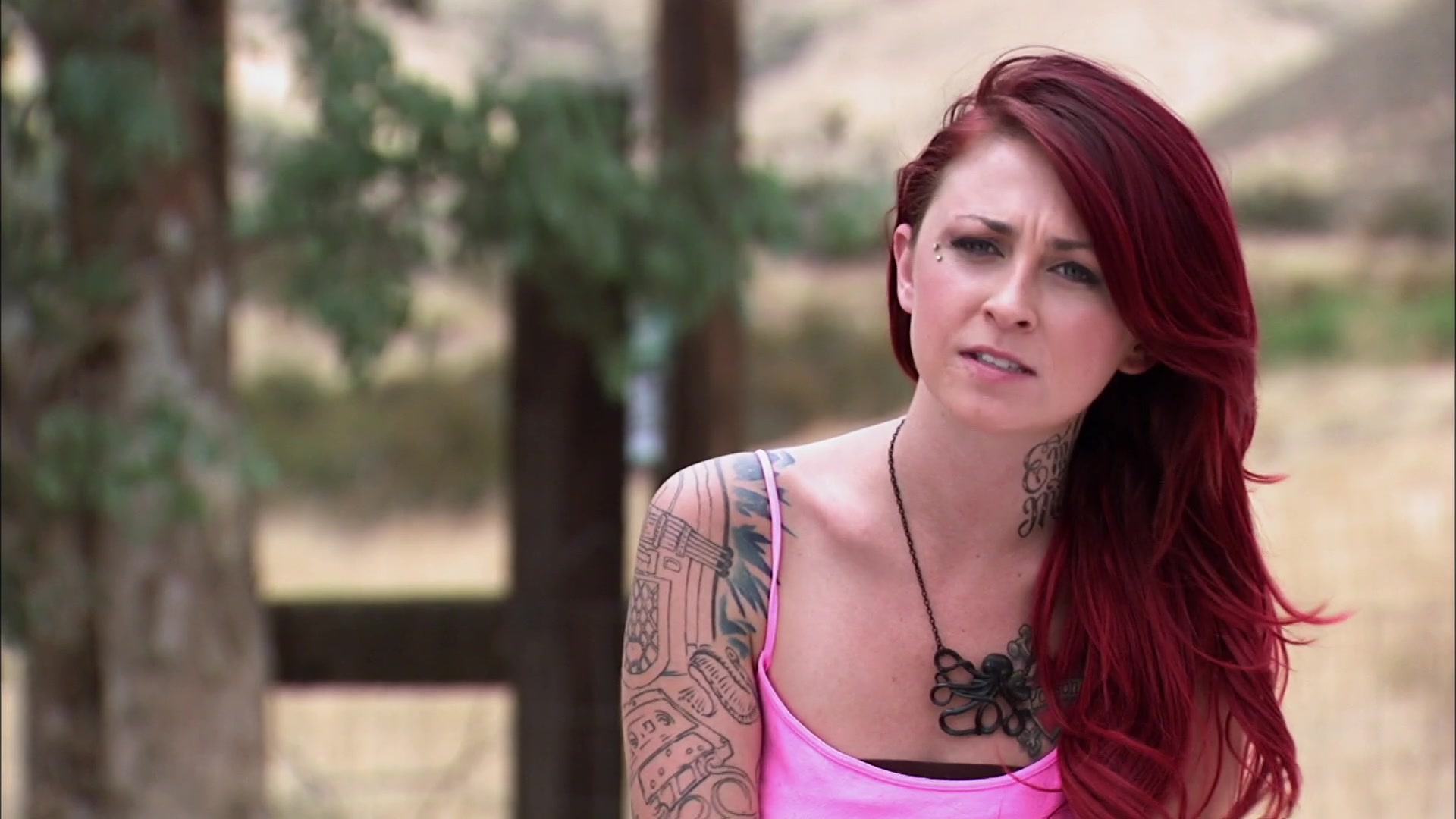 Pit Bulls and Parolees S3:E11 Heart Broken