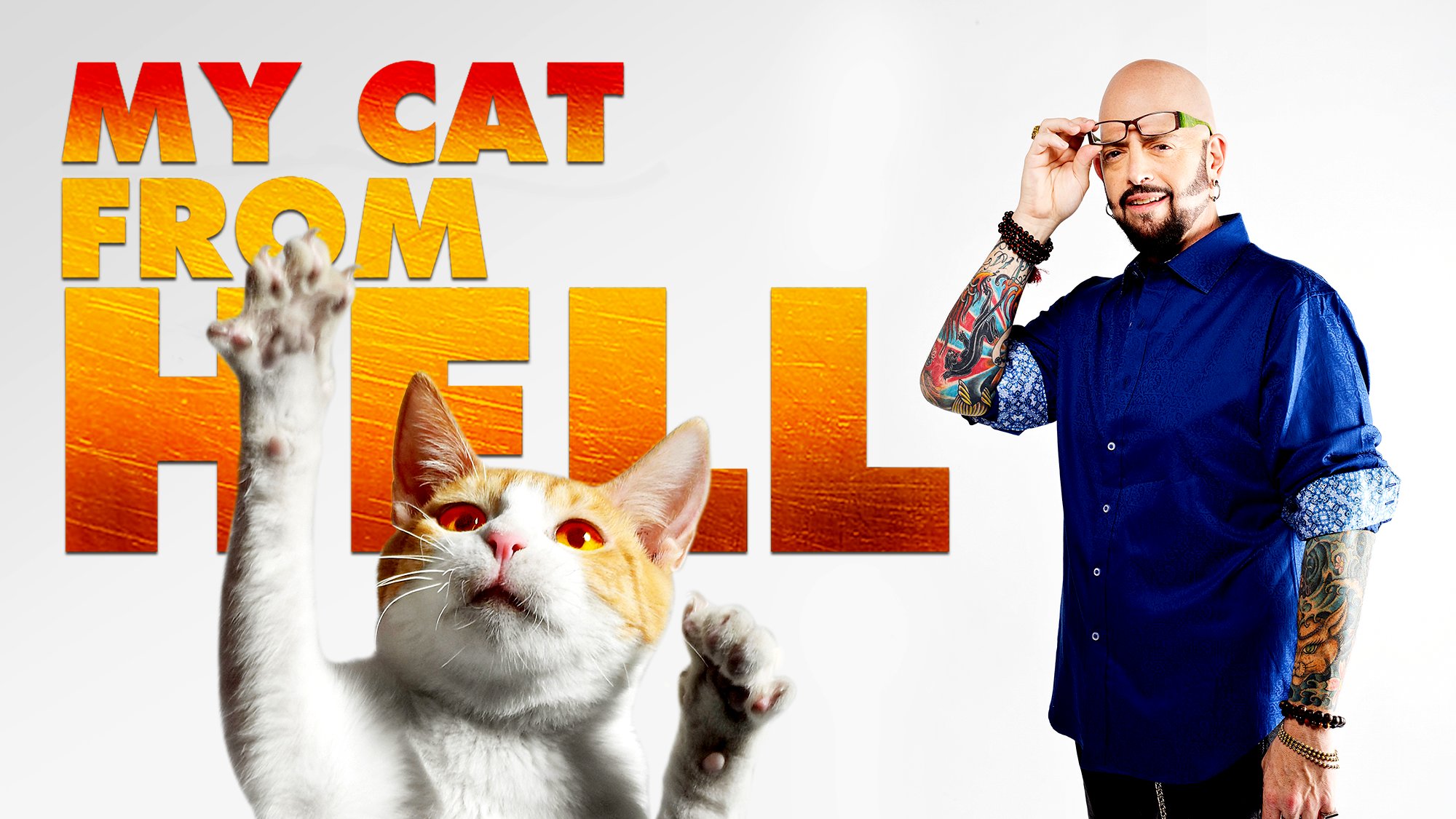 my cat from hell full episodes free online