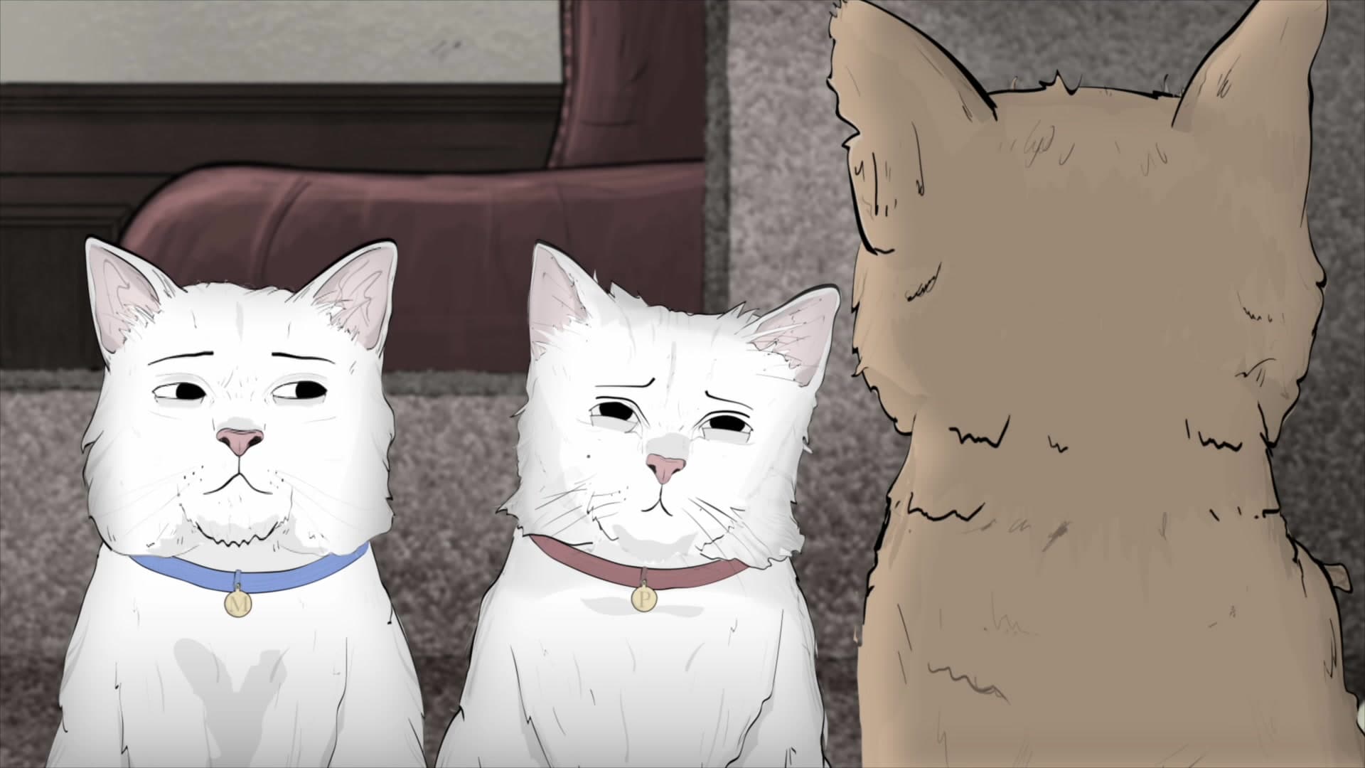 Animals | S1:E3 | Cats. Animals | S1:E3 | Cats.