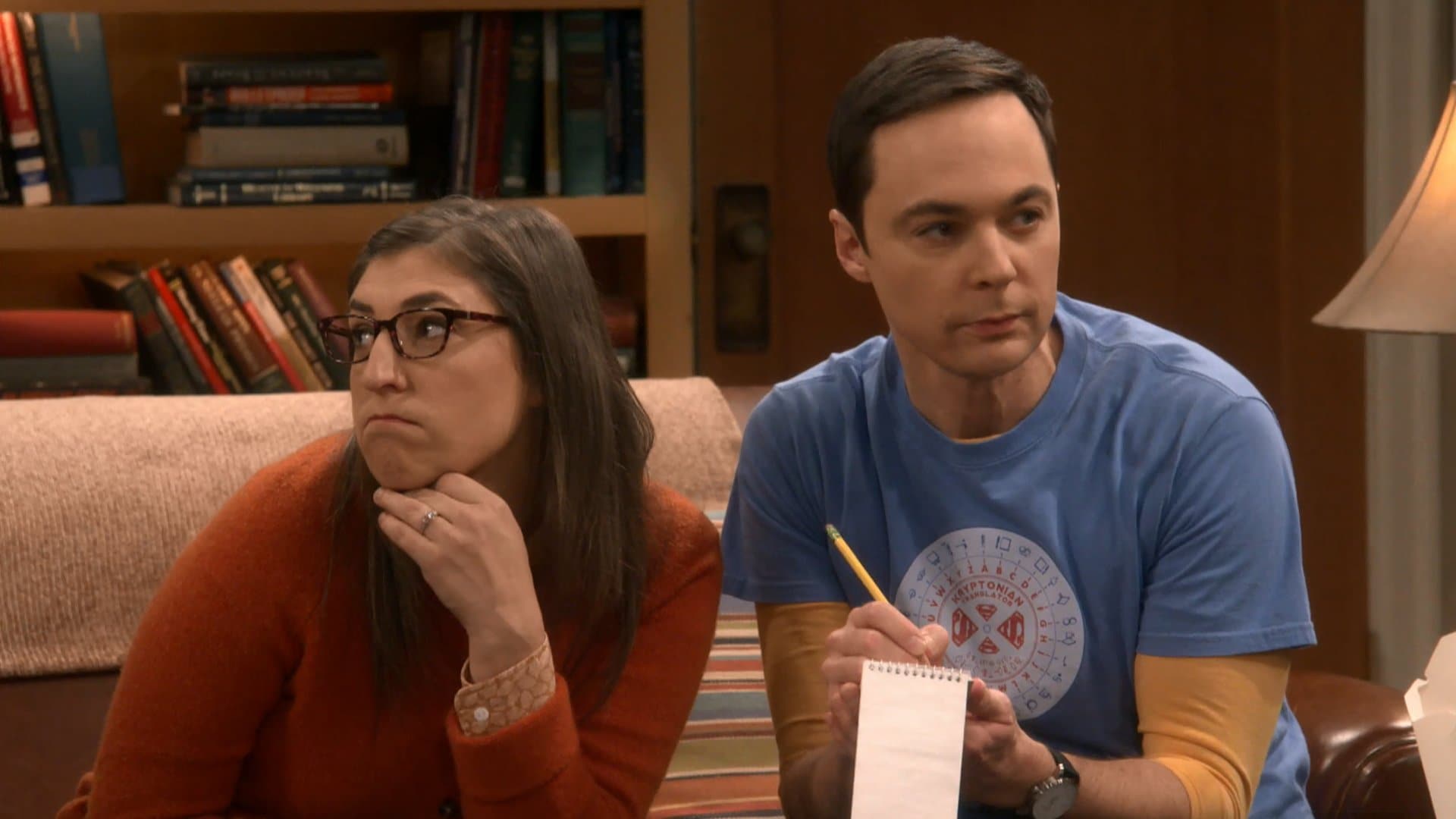 The Big Bang Theory S11e12 Lindicateur Matrimonial Crave 7246