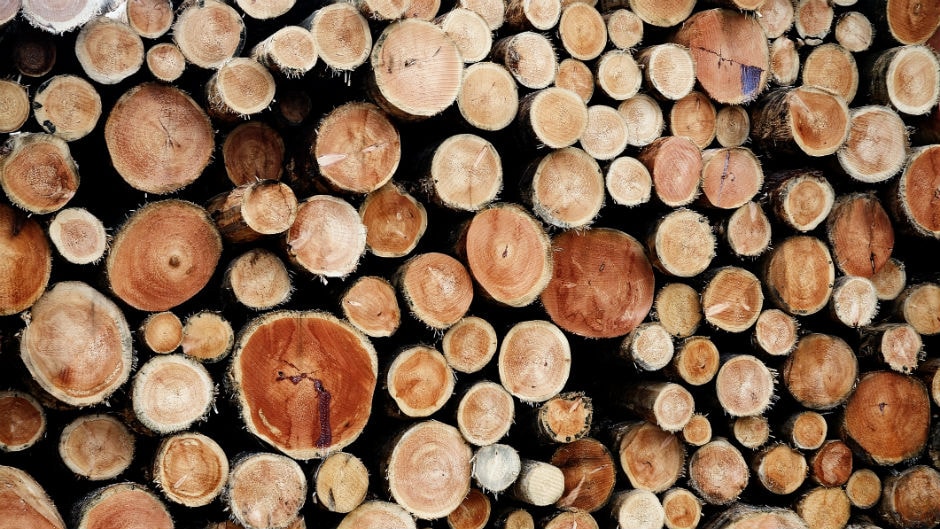 Canadian lumber price surge driving building prices in the U.S. Video