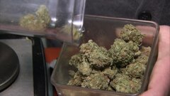 Rob McWhirter discusses pot stocks