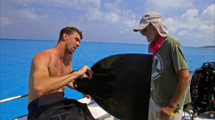 Michael Phelps vs un requin Michael Phelps vs un requin