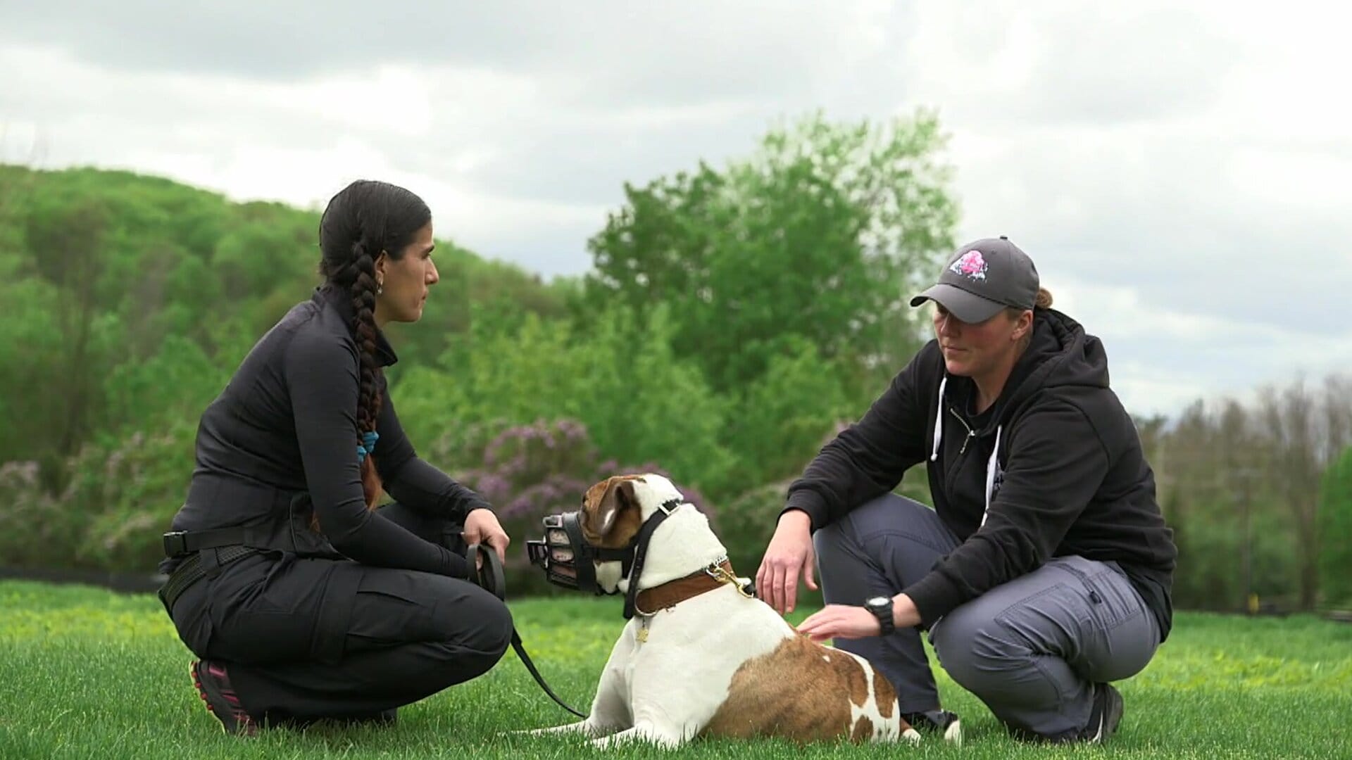 Dog Tales Rescue S1E5 Save the 21 Crave