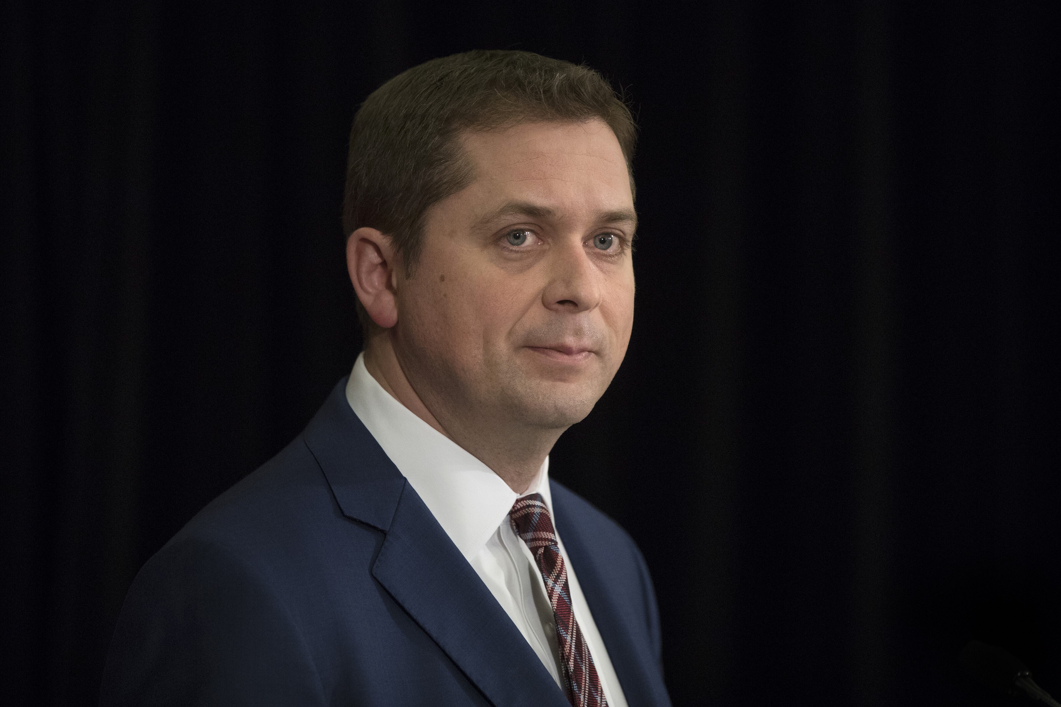 scheer-faces-backlash-over-dual-citizenship-video-bnn