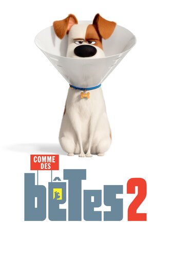 Comme Des Bêtes 2 Film Français Crave | Regardez plus de films et de séries en français - Comme des bêtes 2