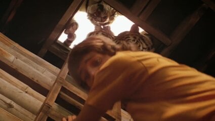 Roar: The Most Dangerous Movie Ever Made Roar: The Most Dangerous Movie Ever Made