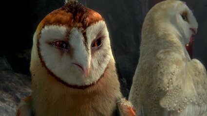 Legend of the Guardians: The Owls of Ga'Hoole Legend of the Guardians: The Owls of Ga'Hoole