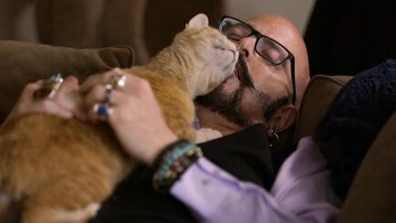 My Cat From Hell Animal Planet Discovery