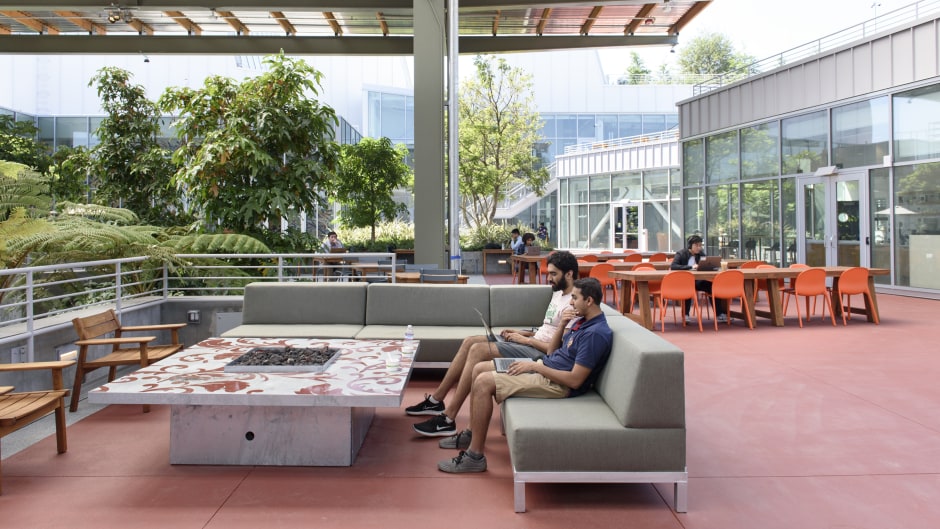 Microdosing psychedelic drugs a growing Silicon Valley trend Video BNN