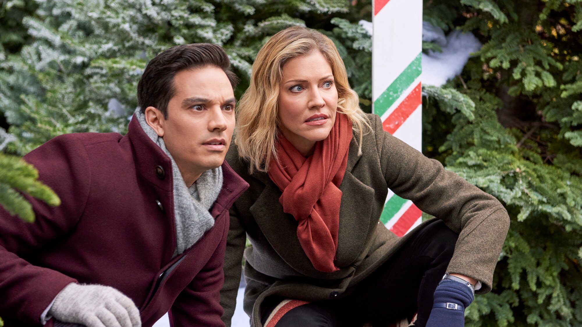 L'amour Revient Toujours à Noël Streaming Une histoire d'amour à Noël