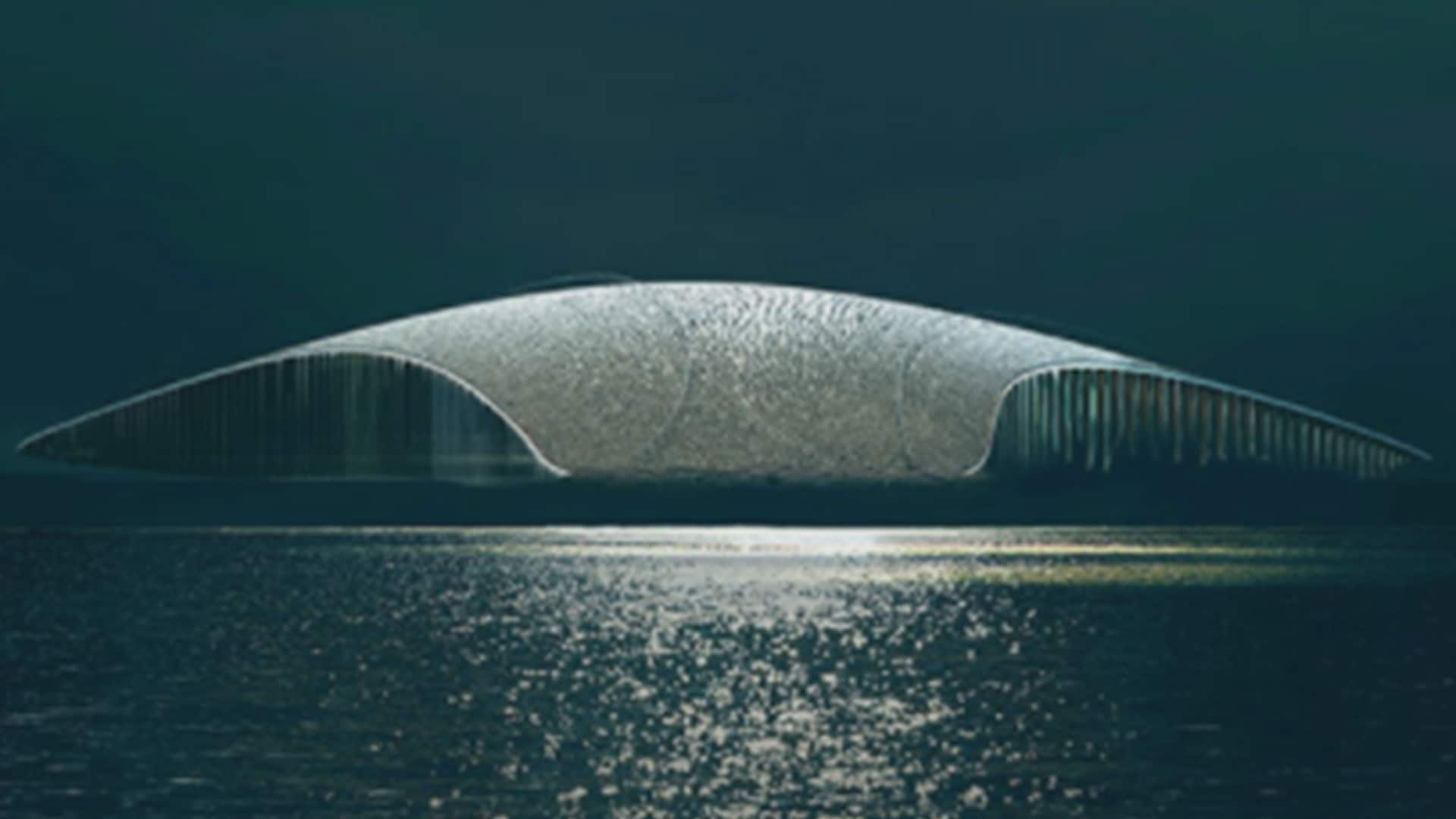 CTV Your Morning | S5:E49 | Stunning designs for future whale museum in