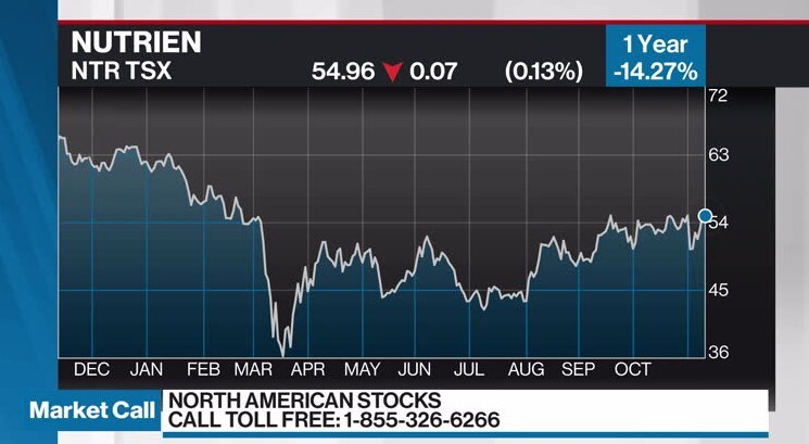 Greg Newman's Past Picks - Video - BNN