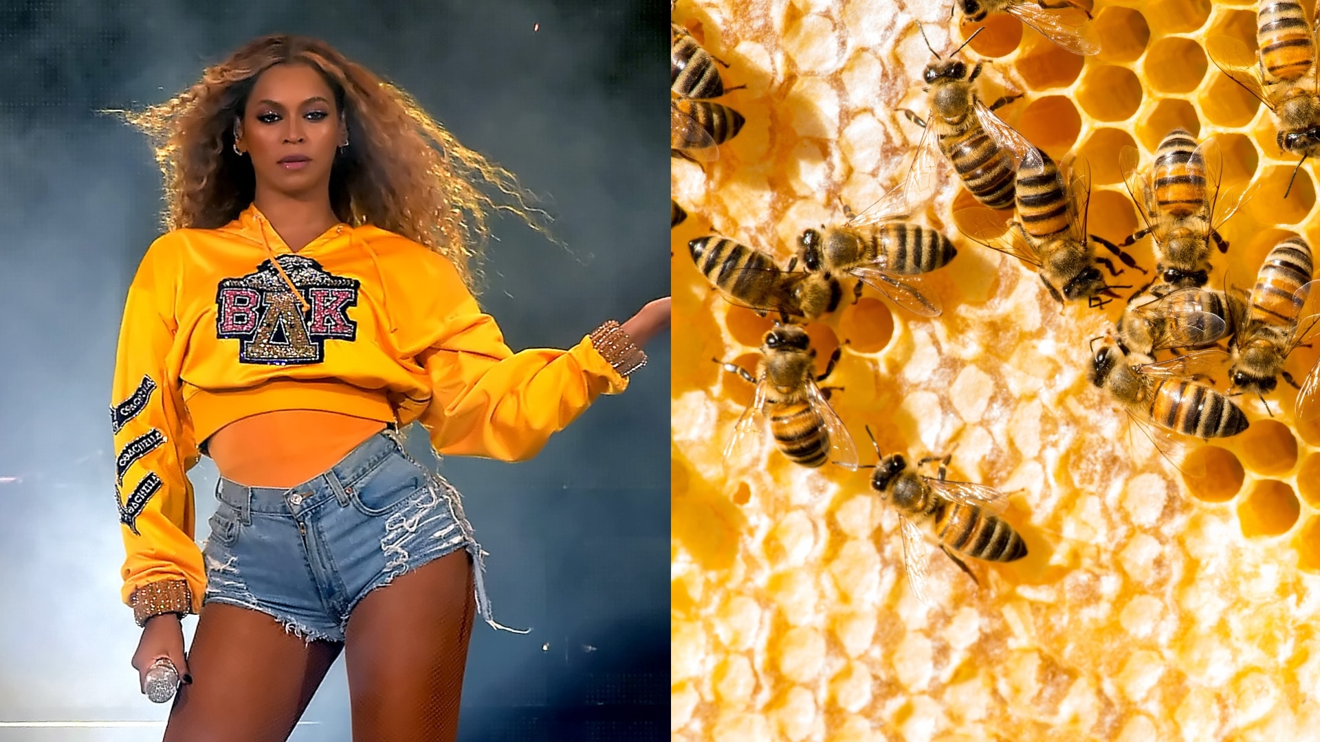 The Social | S8:E41 | Beyoncé reveals she has 80,000 real bees for ...
