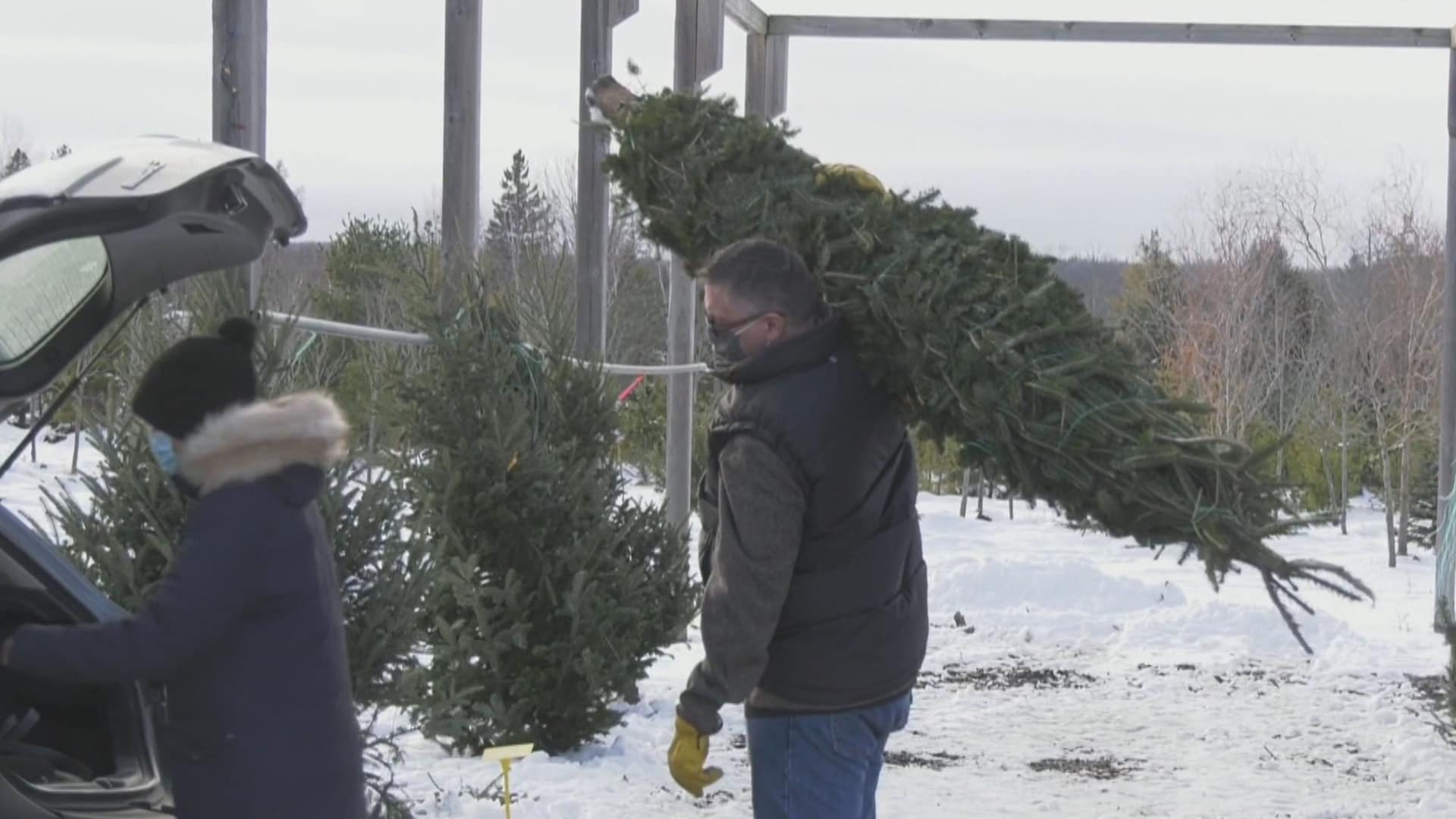 CTV Your Morning S5E81 The 2008 recession is causing a Christmas