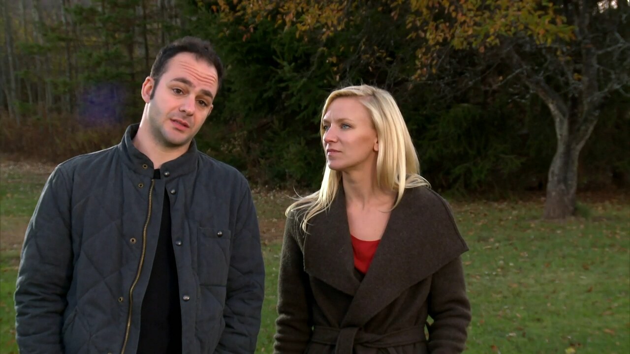 Glasshouse Treehouse