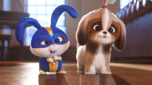 Crave Watch Hbo Showtime And Starz Movies And Tv Shows Online The Secret Life Of Pets 2