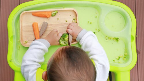 How to safely approach baby-led weaning with a variety of dishes How to safely approach baby-led weaning with a variety of dishes