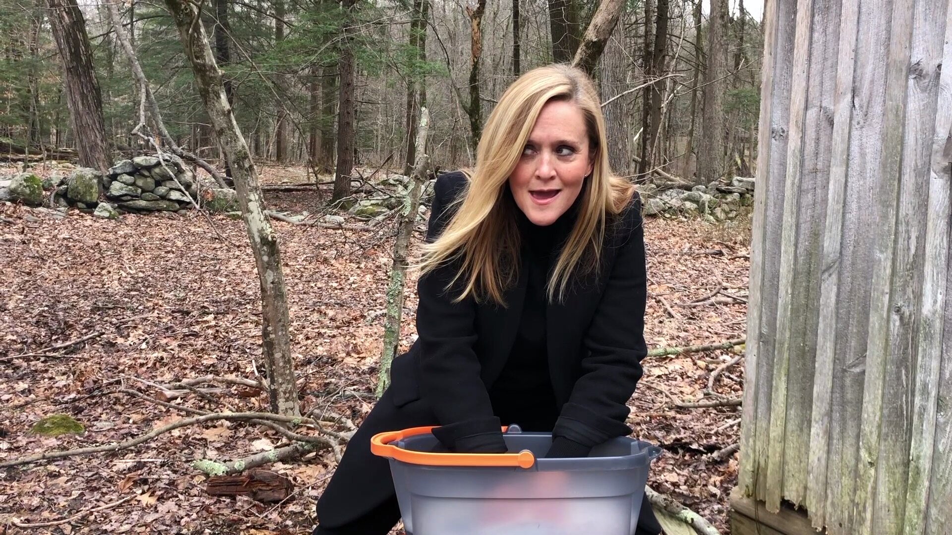 Beeing At Home: Wash Your Hams