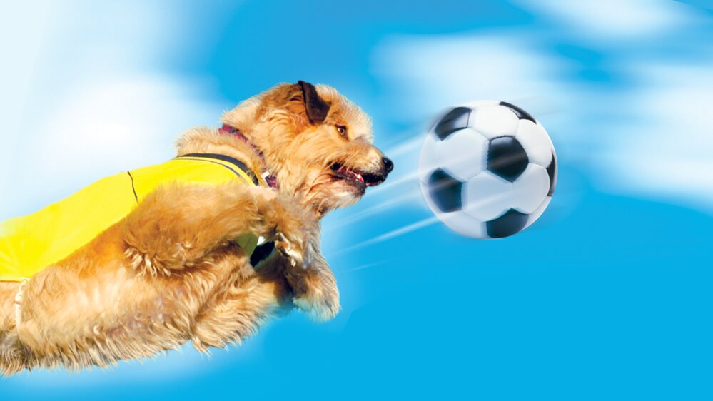 Soccer Dog: European Cup Soccer Dog: European Cup