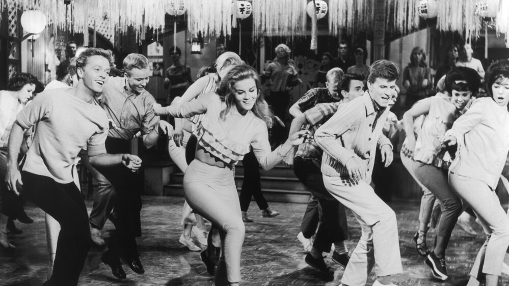 Bye Bye Birdie Bye Bye Birdie