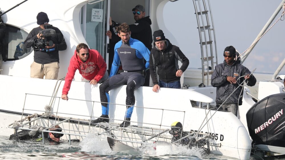 Phelps Vs. Shark: Great Gold Vs. Great White Phelps Vs. Shark: Great Gold Vs. Great White