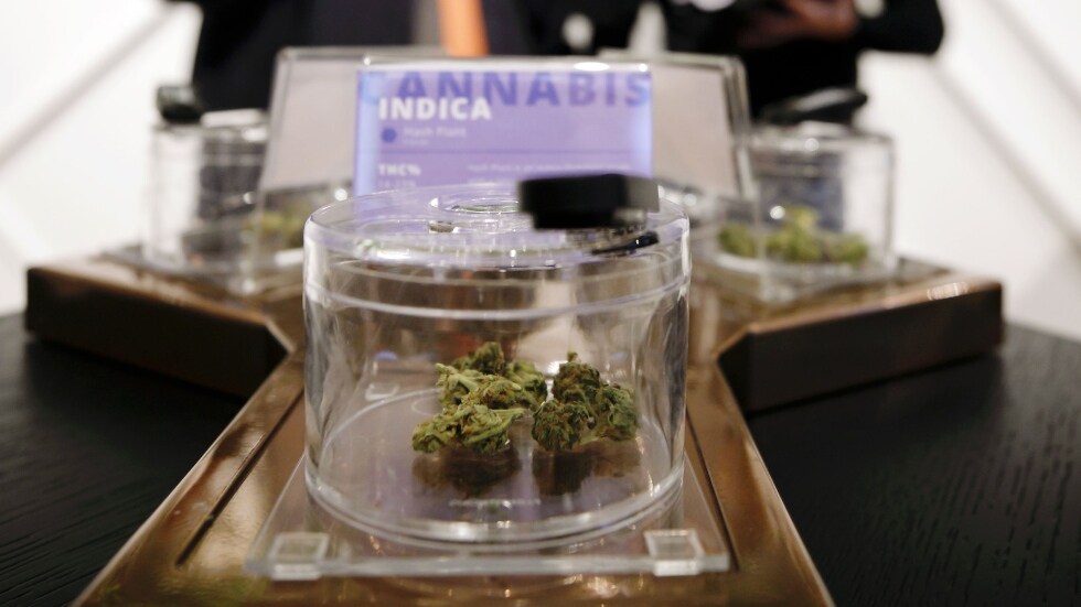 Pot brands not resonating with Canadian consumers: Poll - Video - BNN