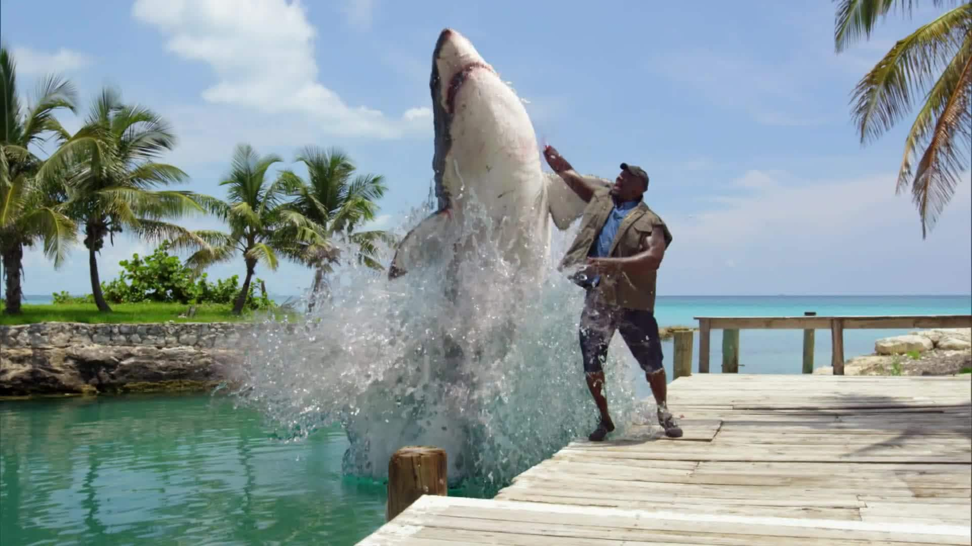 Shark Week S E Shaq Does Shark Week