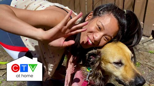 Puppy Spa with Elena Juatco Puppy Spa with Elena Juatco