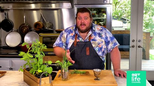 Rodney’s Tips: How to Take Care of Your Herbs Rodney’s Tips: How to Take Care of Your Herbs