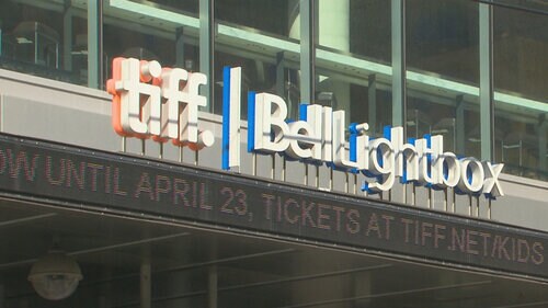 What will TIFF look like this year? What will TIFF look like this year?