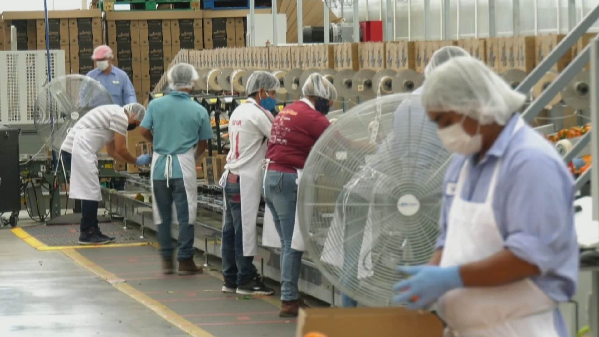 Campaign calls for Canada’s economic recovery plan to address racial inequality