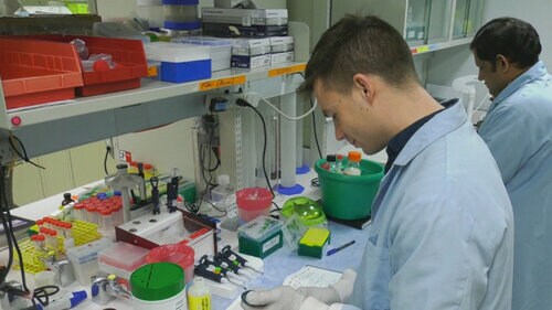 SickKids assessing COVID-19 prevalence, risk factor among Black Canadian communities SickKids assessing COVID-19 prevalence, risk factor among Black Canadian communities