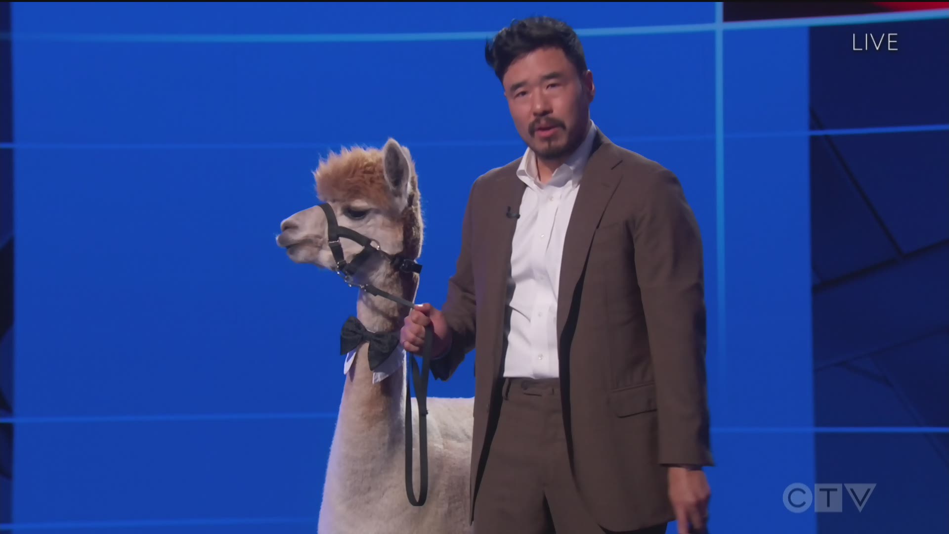 Clips: 'Watchmen' Wins Outstanding Writing For A Limited Series or Dramatic Special