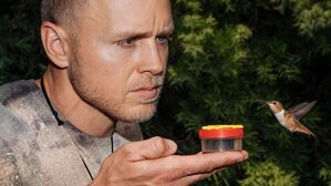 Spencer Pratt Will Heal You Spencer Pratt Will Heal You