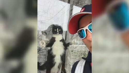 Cat tries to attack mail carrier every time it sees her Cat tries to attack mail carrier every time it sees her