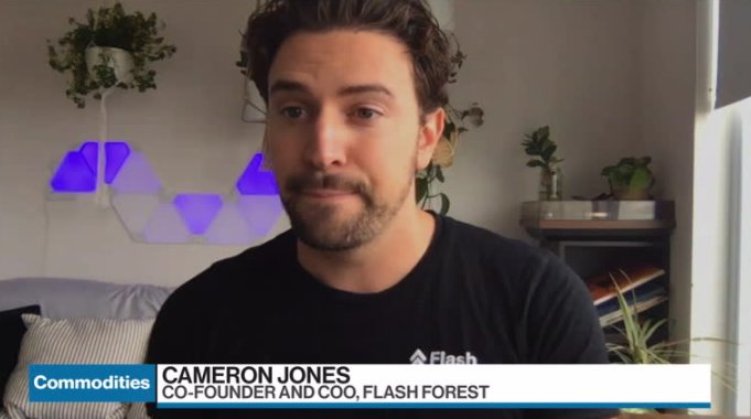 Flash Forest news