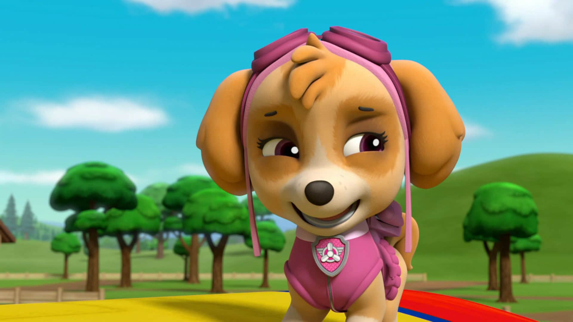 PAW Patrol | S5:E46 | Pups Save Ace's Birthday Surprise