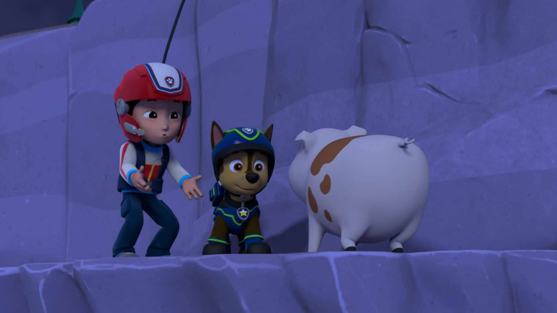 The Paw Patrol Pups and the Flying Frog Rescue