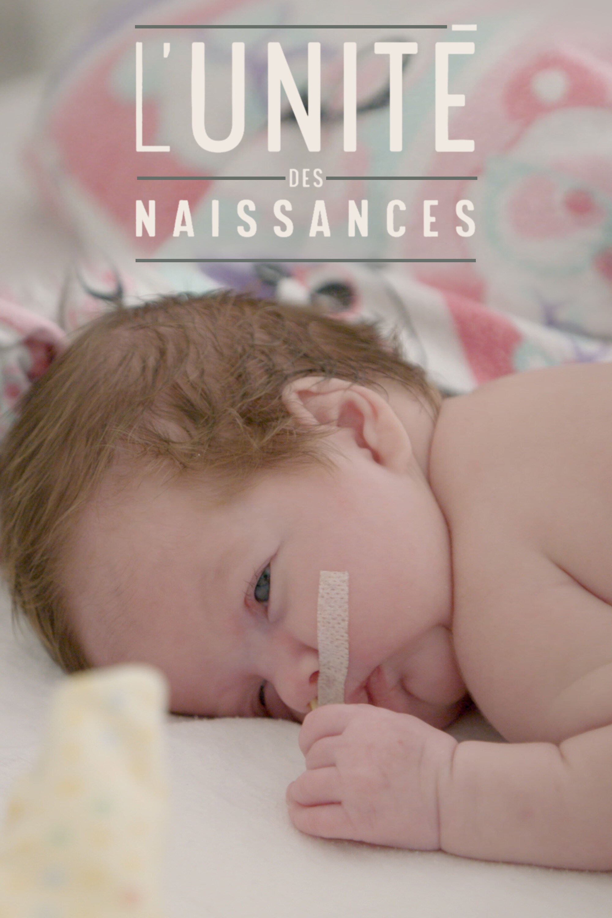 L Unite Des Naissances