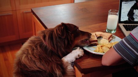 Troublemakers Troublemakers