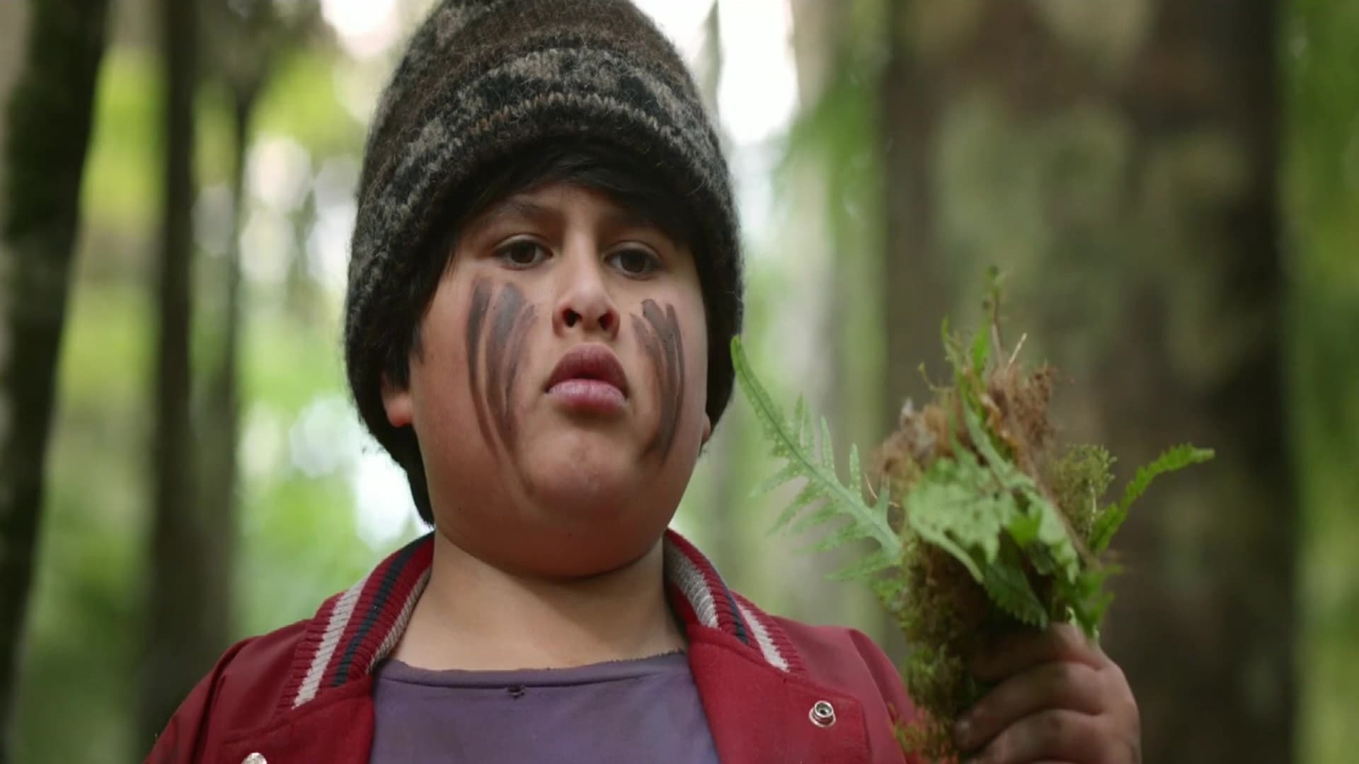 Hunt for the Wilderpeople