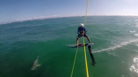 Full Throttle Full Throttle