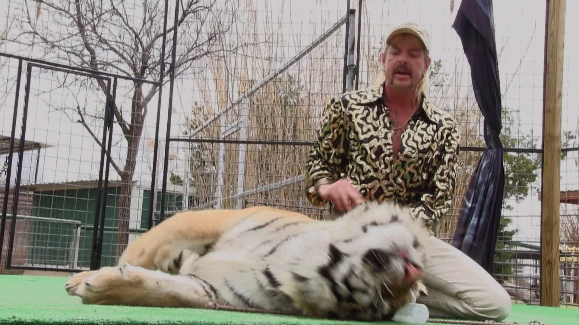 Joe Exotic Tigers, Lies and CoverUp S1E2 Catch a Tiger by the Tail