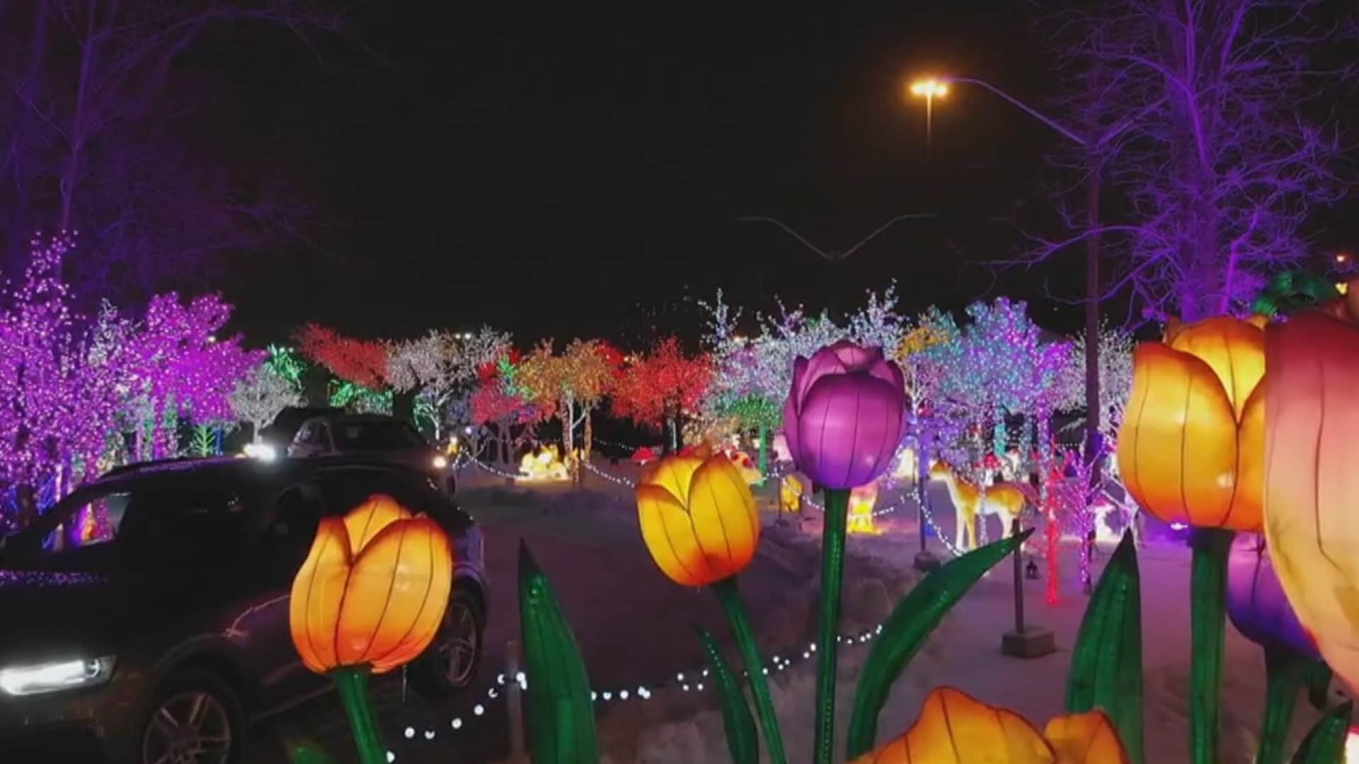 CTV Your Morning Magical light display in Quebec features thousands