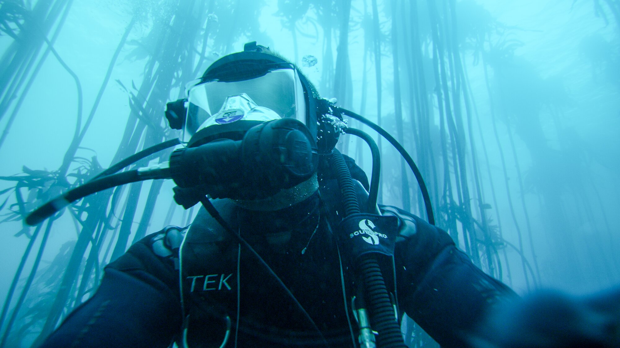 Shark Alley: Legend of Dynamite | CTV